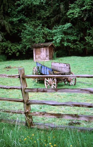 A vertical shot of an old abandoned cart in a park