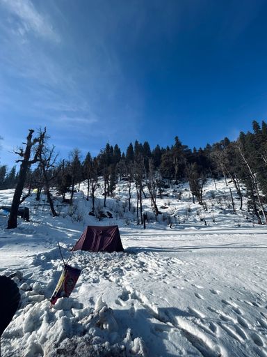 Scenic snowy landscape with a tent at a forest edge under a clear blue sky, ideal for winter camping and adventure enthusiasts.