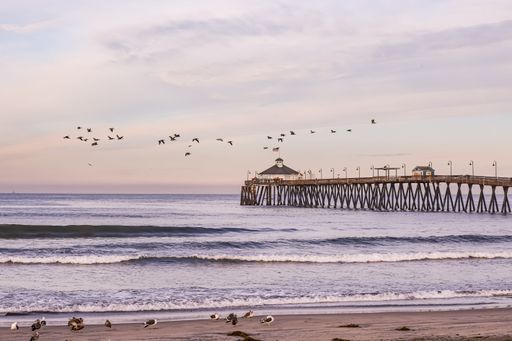 Scenic view of Imperial Beach Pier at sunset with a flock of birds flying over the ocean waves.