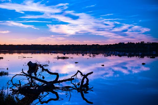 Scenic view of a tranquil lake at sunset with vibrant blue and pink sky reflections, featuring silhouetted branches in the foreground.