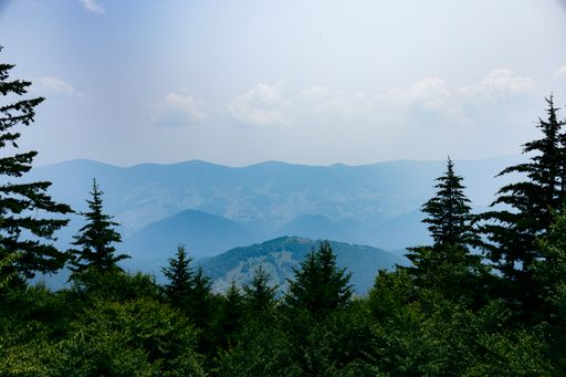 A high angle shot of the highest point in West Virginia Spruce Knob in the summer