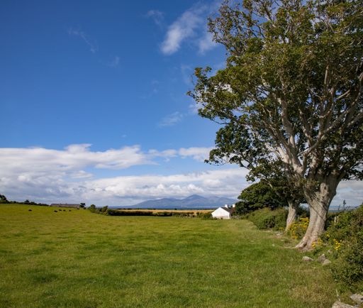 A farmhouse surrounded by greenery in the Mourne Mountains under the sunlight in Northern Ireland