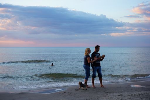 A shot of a woman and a man with a dog looking at a smartphone standing at the beach in the evening in Sarbinowo, Poland