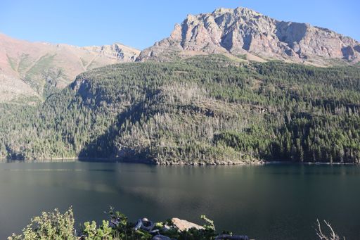Scenic view of a mountain and forest reflected in a tranquil lake under a clear blue sky in Glacier National Park.