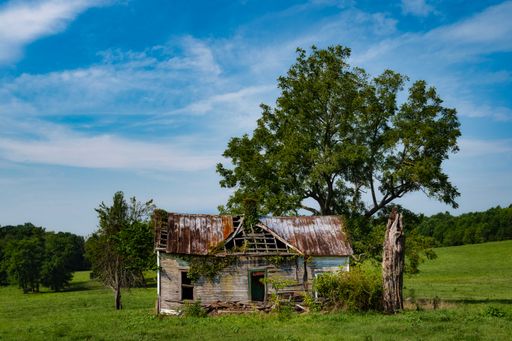 A Beautiful scenery of a rural house in the middle of farmland with trees under blue sunny sky