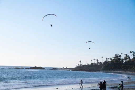 People enjoying a sunny day at the beach with paragliders soaring over the ocean, palm trees in the distance, capturing outdoor leisure.