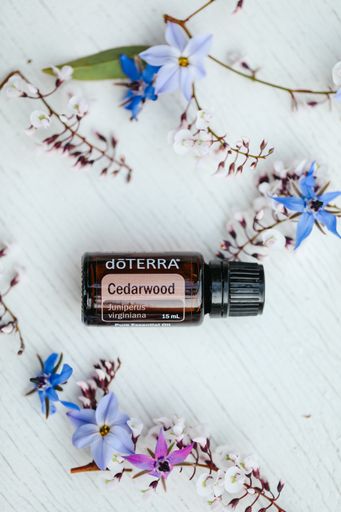 Illustrative editorial image of Doterra essential oil on display with pretty fresh flowers, Cedarwood