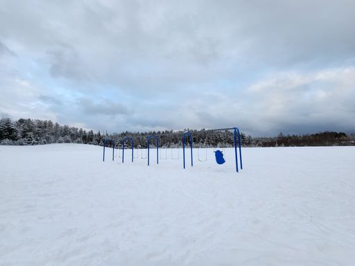 A snowy playground with blue swings under a cloudy winter sky, surrounded by snow-covered trees.