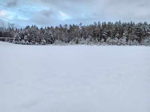A snowy field with trees in the background under an overcast sky