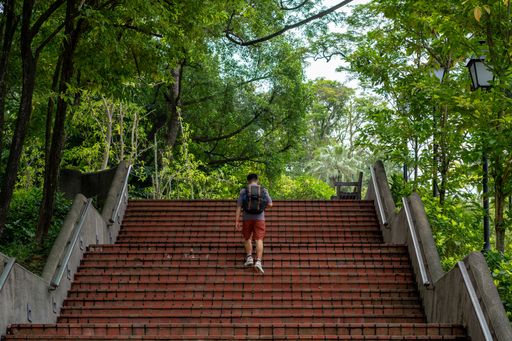 A young man with a backpack climbs a brick staircase in a lush green park, surrounded by trees and nature on a sunny day.