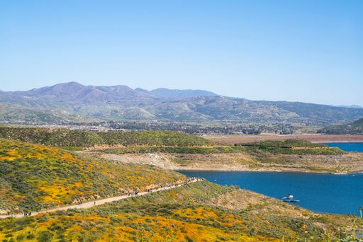 Scenic view of Lake Elsinore with blooming wildflowers and distant mountains under a clear blue sky, California.