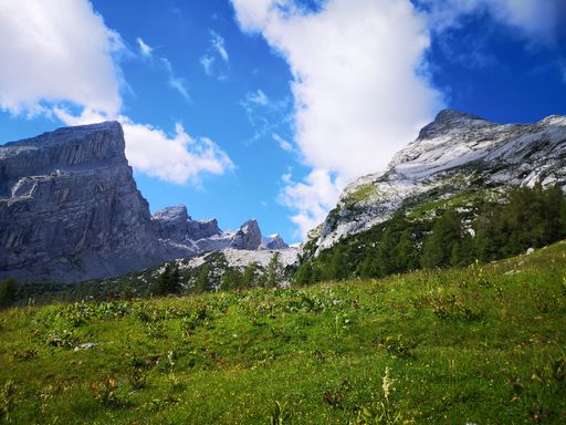 A stunning mountain landscape with clear blue skies and lush green foreground