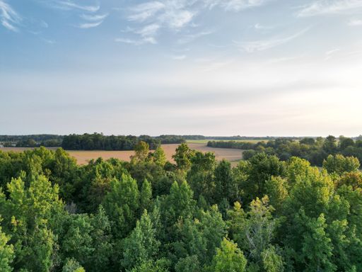 Aerial view of lush green forest with expansive fields under a clear sky, capturing the serene beauty of nature.
