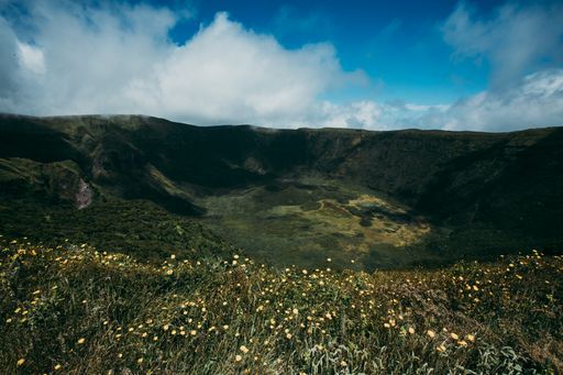 A beautiful scene with yellow wildflowers growing in the valley