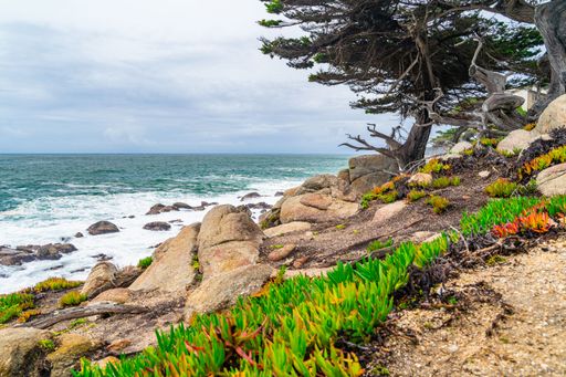 Scenic coastal view with rugged rocks, vibrant green plants, and a dramatic ocean under a cloudy sky at Pebble Beach, California.