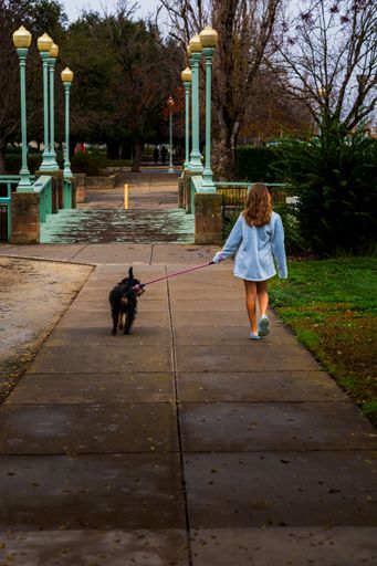 A young girl walking her dog on a path in a park with vintage lamp posts and trees in the background.