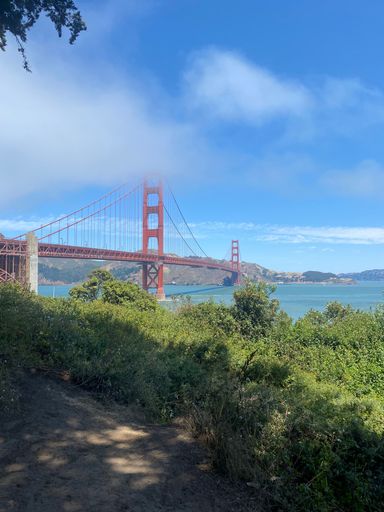 Golden Gate Bridge partially covered in fog on a sunny day, with lush greenery in the foreground, San Francisco, California.