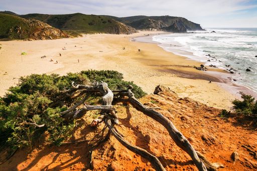 A beautiful surfer beach Praia do Amado in Algarve Costa Vicentina near Carrapateira, Portugal