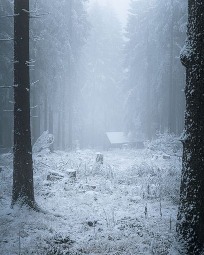A serene winter forest scene with snow-covered trees and a small cabin in the mist.