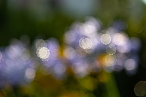 lensflares, blurred bokeh lights in white for webdesign, backgrounds, compositions and overlays