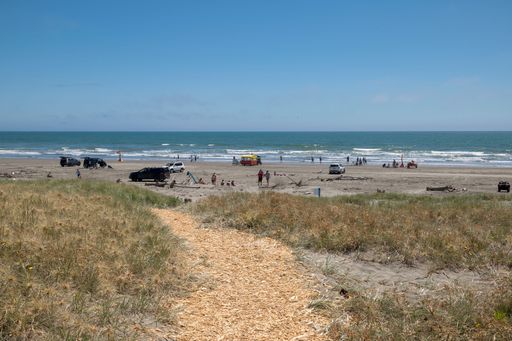 A scenic path leading to Waitarere Beach with a view of the Tasman Sea in New Zealand