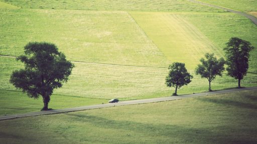 A wide shot of a meadow with trees and a car driving on the track