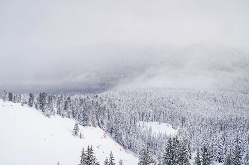A wide shot of mountains filled with white snow and tons of spruces