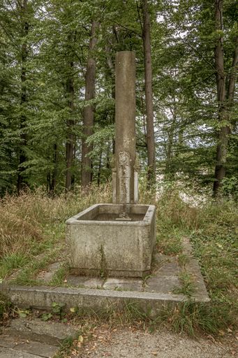 A vertical shot of an old water fountain at the forest