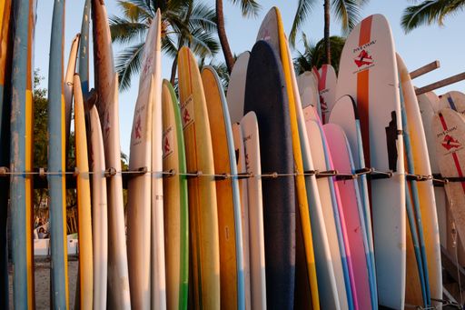 Colorful surfboards lined up on a beach with palm trees in the background, capturing a tropical, relaxed vibe.