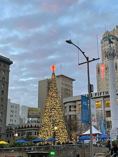 A glowing Christmas tree stands beautifully lit in the center of San Francisco's Union Square.