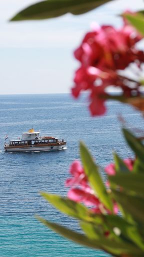 A selective focus of a passenger boat cruising on a calm sea with a blurry pink flowers foreground