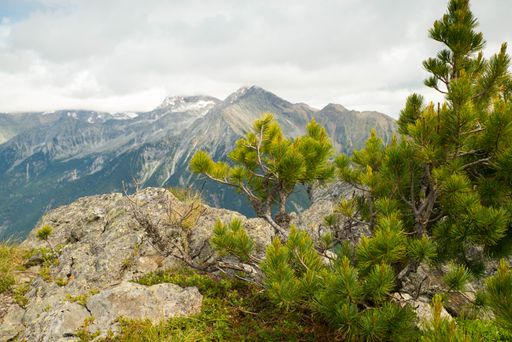 Dolomites in Italy, Michlreis Alm, mountains of the alps, landscape in Europe, hiking area,