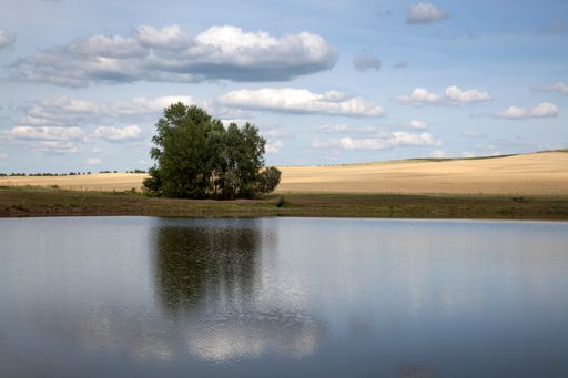 A beautiful view of a small lake surrounded by golden fields gleaming under the cloudy blue sky