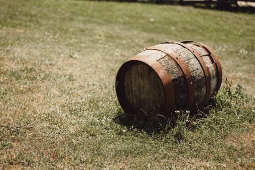 A closeup shot of a barrel in a green fie