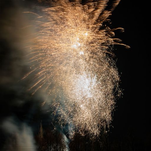 A scenic view of bright fireworks bursting in the night sky with trees silhouetted below