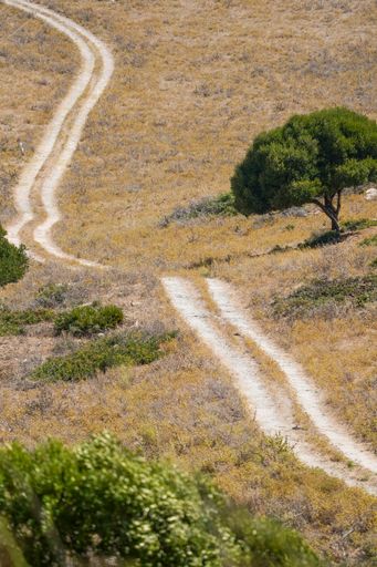 The winding dirt road through Mediterranean scrub, Tarifa, Spain