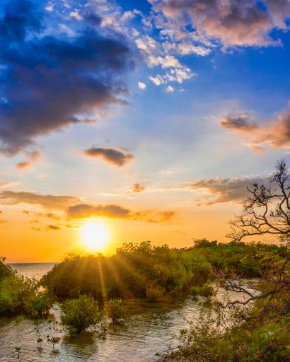 A vertical shot of the sea surrounded by greenery under the sunlight during a beautiful sunrise