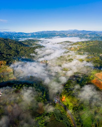 A vertical shot of hills covered in greenery and fog in Constanza, the Dominican Republic