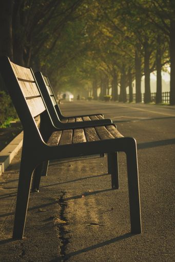 A vertical shot of a wooden bench under the trees captured in Asan, South Korea