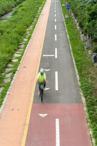 A vertical shot of a person riding a bicycle on the road surrounded by greene