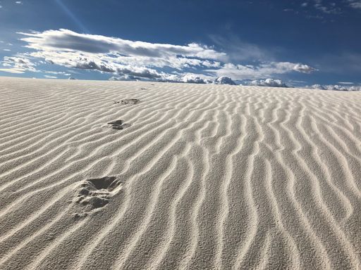 A beautiful view of the desert covered with wind-swept sand in New Mexico - perfect for background
