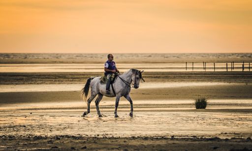 A man horse riding at Playa de los Lances, during sunset, Cadiz, Costa de la Luz, Andalucia, Spain.