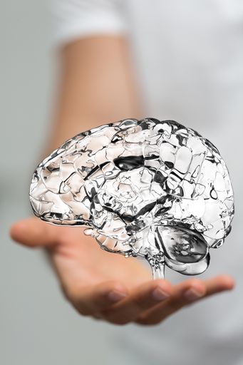 A person presenting the virtual projection of the human brain