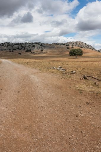 A vertical shot of unpaved road through Ronda road in Andalusia, Spain