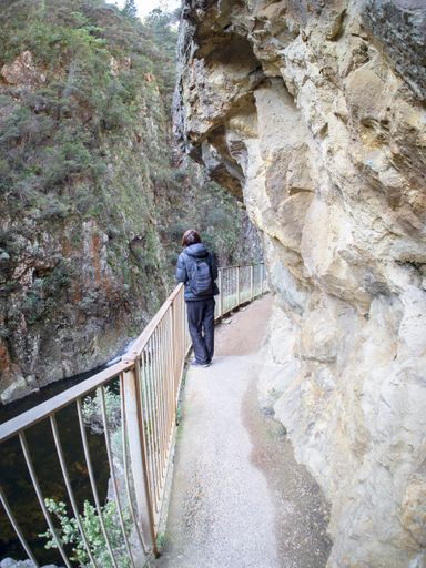 A woman tourist at Karangahake Gorge track in Paeroa, New Zealand