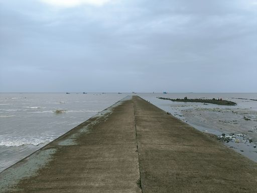 High narrow path full of seagulls against breakwater and coastline at beach, Mumbai, India