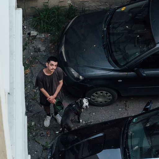 A young man standing near carin a yard with a black pit bull and looking up