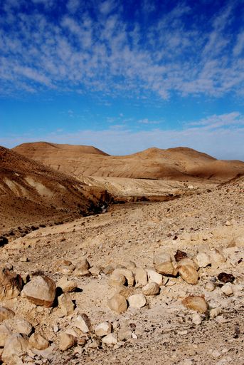Wadi in the Negev desert in Israel.landscape middle east