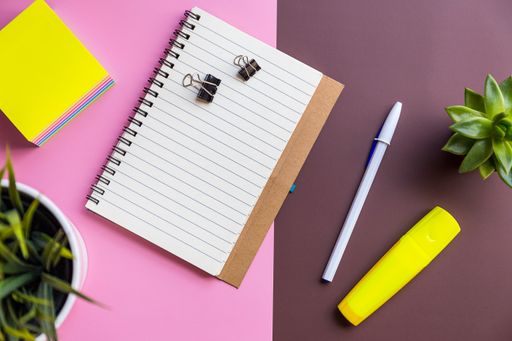 A top view shot of a notebook, sticky paper, pen, and two plants on a pink and brown background