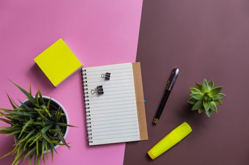 A top view shot of a notebook, sticky paper, pen, and two plants on a pink and brown background